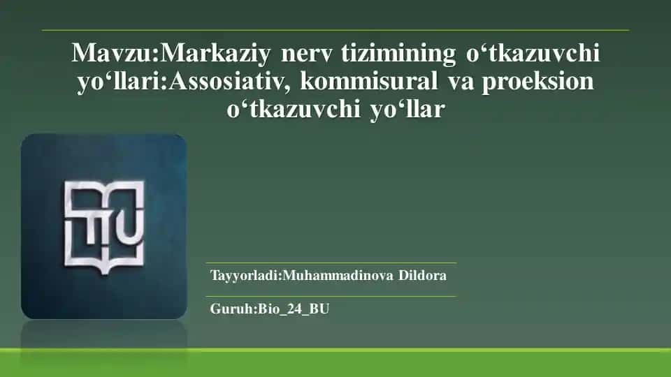 Markaziy nerv tizimining oʻtkazuvchi yoʻllari