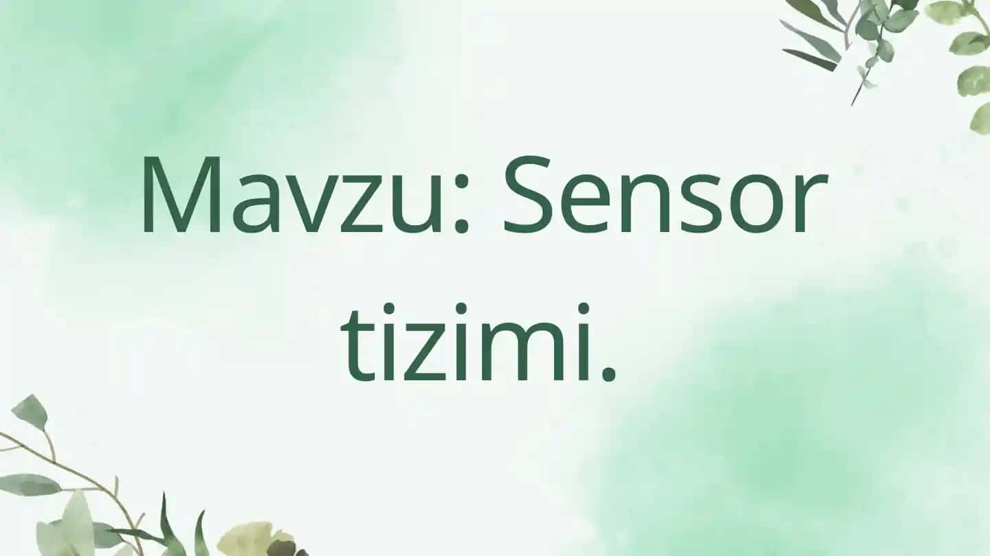 Sensor tizimi