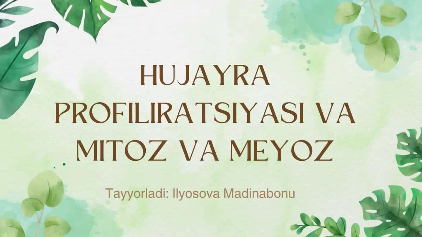 HUJAYRA PROFILIRATSIYASI VA MITOZ VA MEYOZ