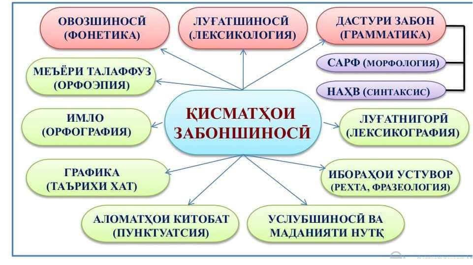 Қисмҳои забоншиносӣ