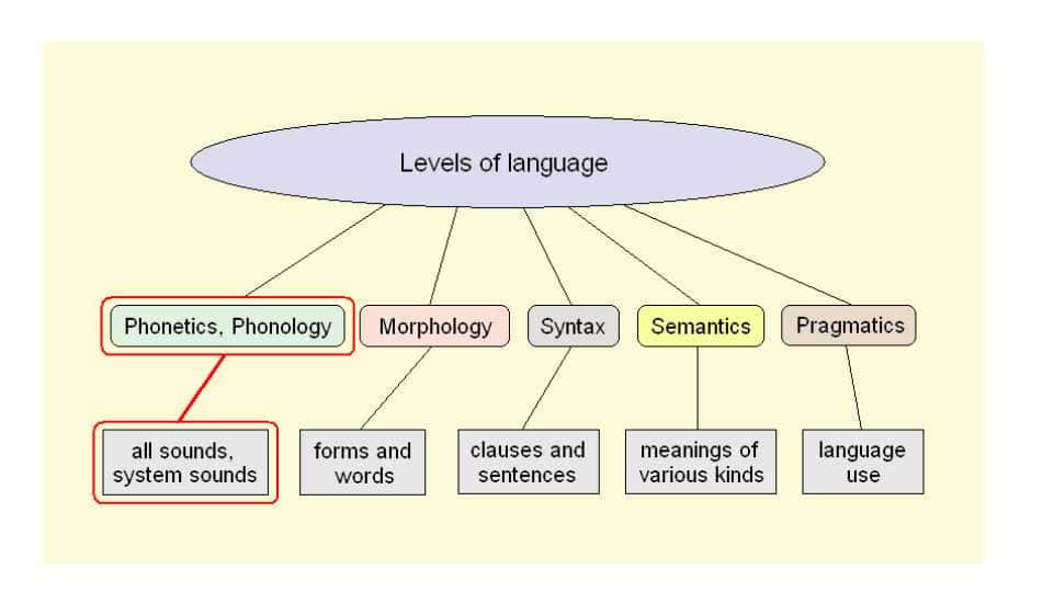 Levels of language