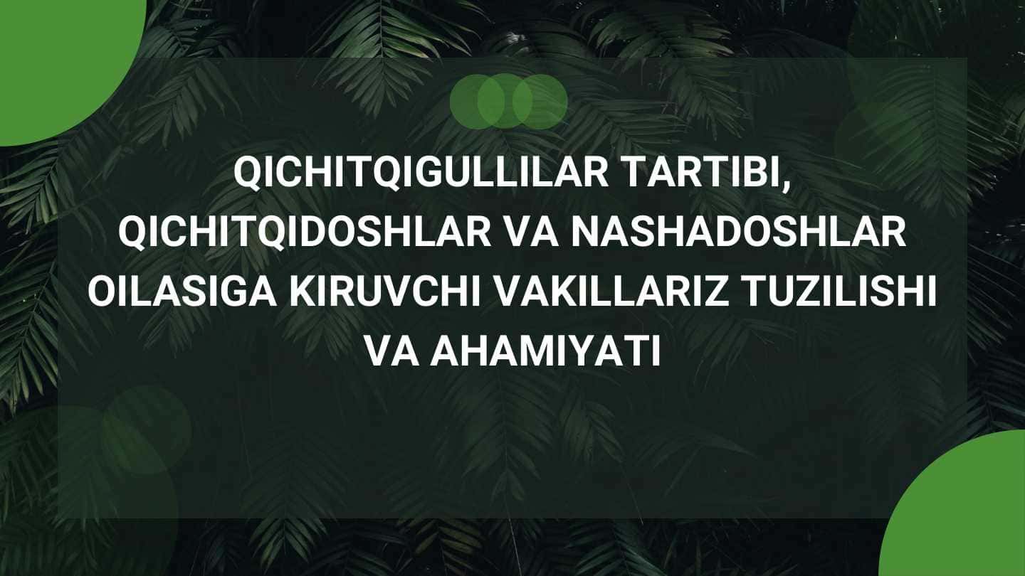 Qichitqigullilar tartibi, qichitqidoshlar va nashadoshlar oilasiga kiruvchi vakillariz tuzilishi va ahamiyati