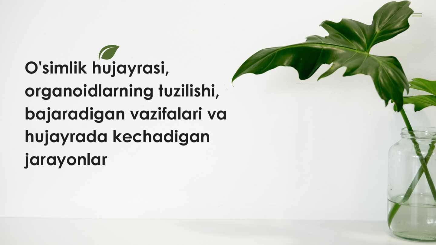 O'simlik hujayrasi, organoidlarning tuzilishi, bajaradigan vazifalari va hujayrada kechadigan jarayonlar