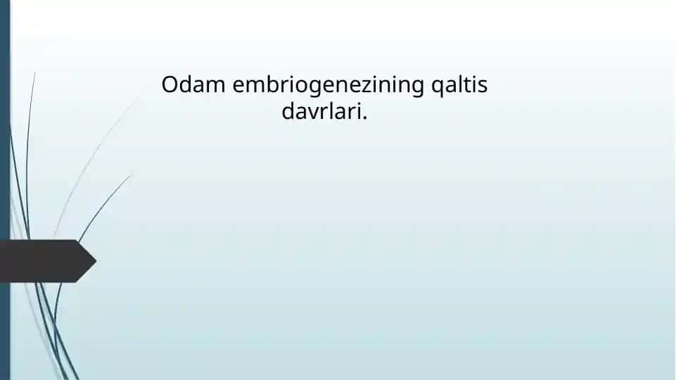 Odam embriogenezining qaltis davrlari