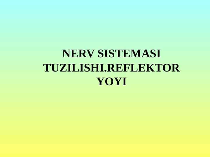 NERV SISTEMASI TUZILISHI.REFLEKTOR YOYI