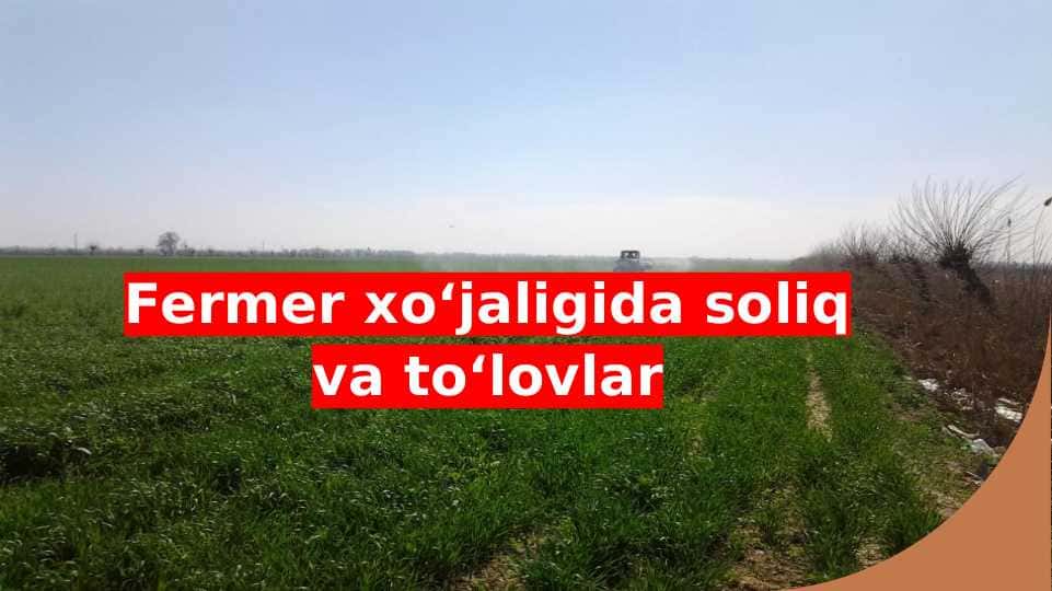 Fermer xo‘jaligida soliq va to‘lovlar