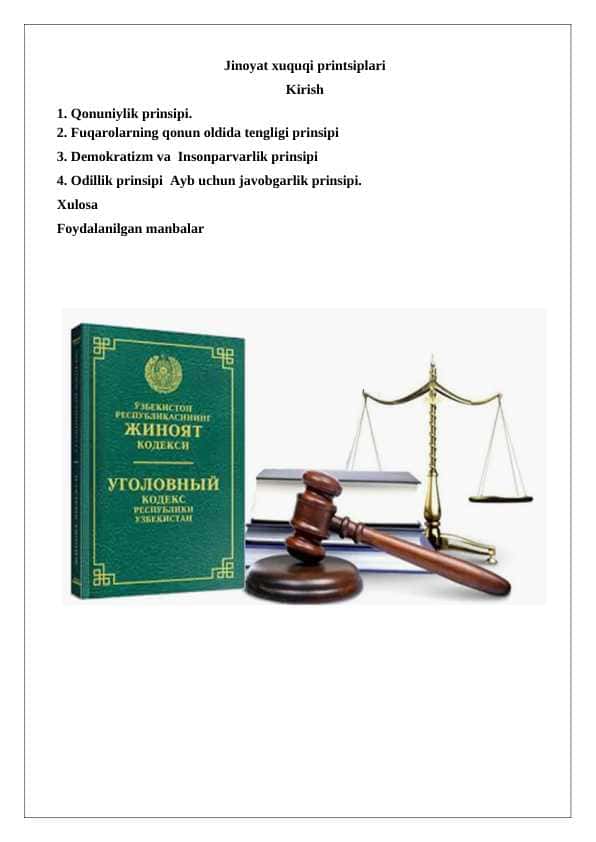 Jinoyat xuquqi printsiplari 24