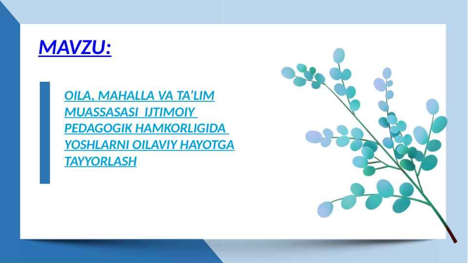 OILA, MAHALLA VA TA’LIM MUASSASASI IJTIMOIY PEDAGOGIK HAMKORLIGIDA YOSHLARNI OILAVIY HAYOTGA TAYYORLASH