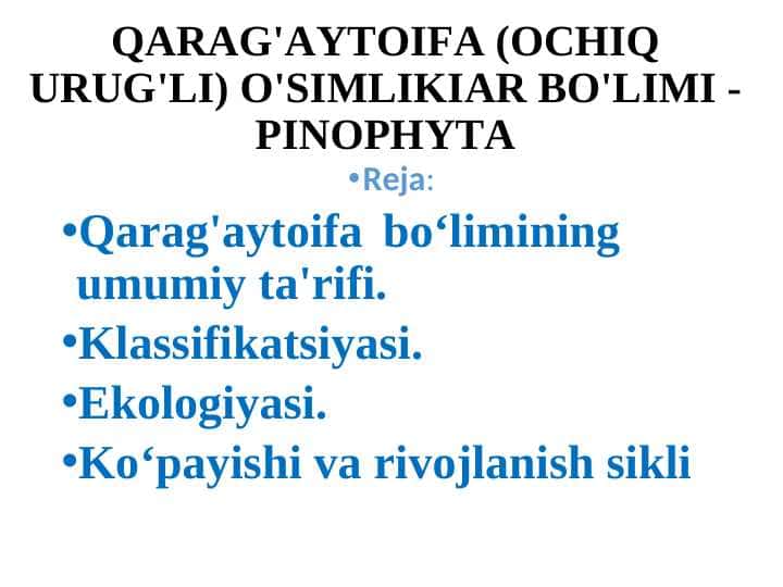 QARAG'AYTOIFA (OCHIQ URUG'LI) O'SIMLIKIAR BO'LIMI - PINOPHYTA