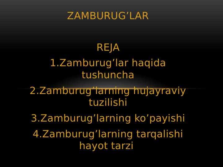 ZAMBURUG’LAR