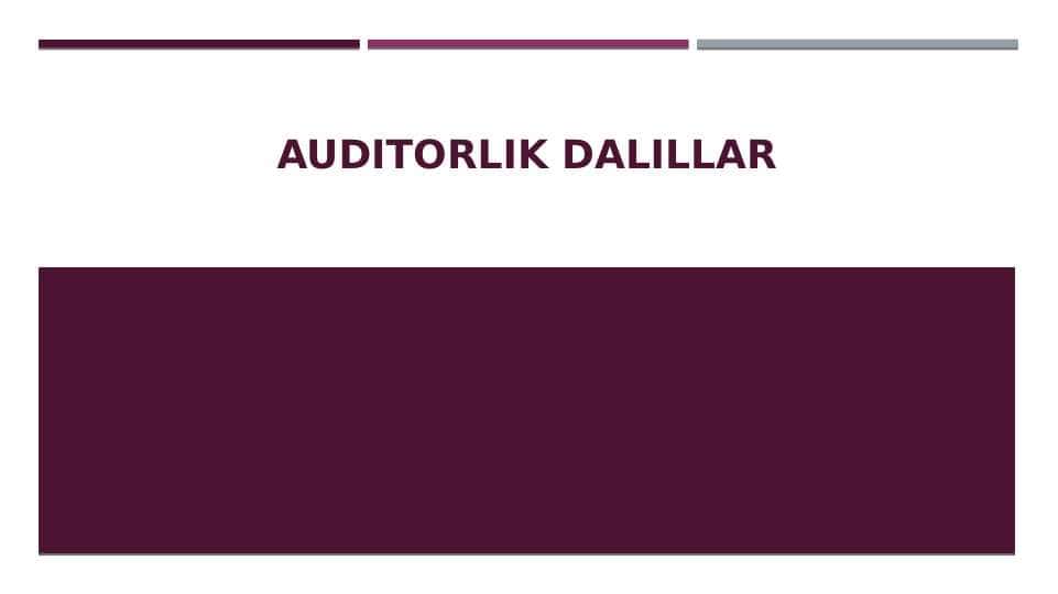 Auditorlik dalillar