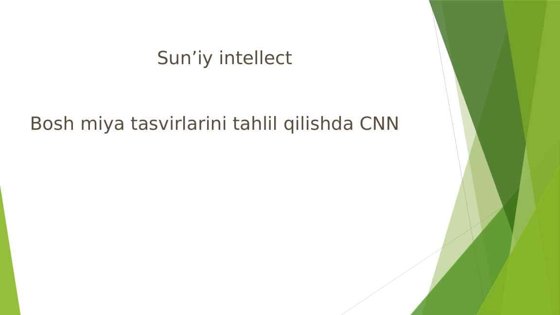 BOSH MIYA TASVIRLARINI TAHLIL QILISHDA CNN.