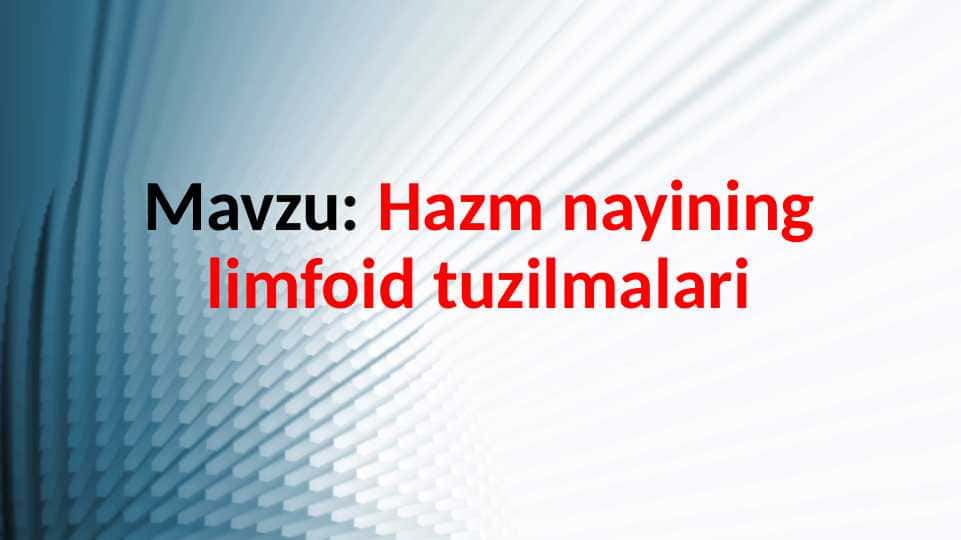 Hazm nayining limfoid tuzilmalari