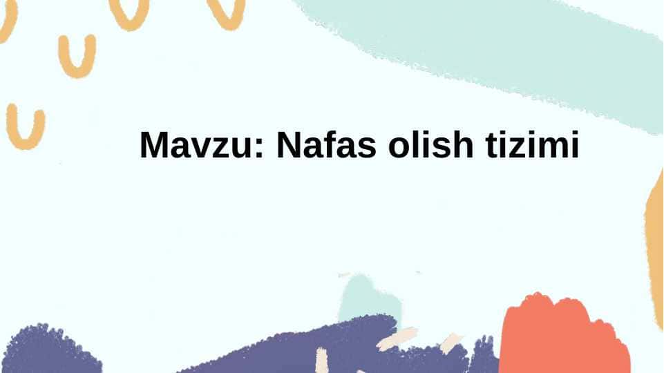 NAFAS OLISH TIZIMI
