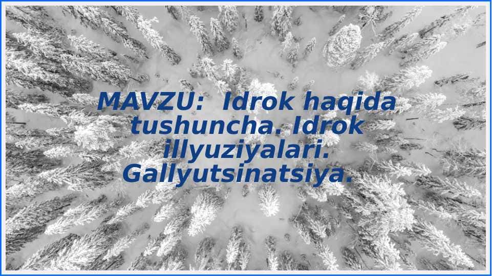 Idrok haqida tushuncha. Illyuziya