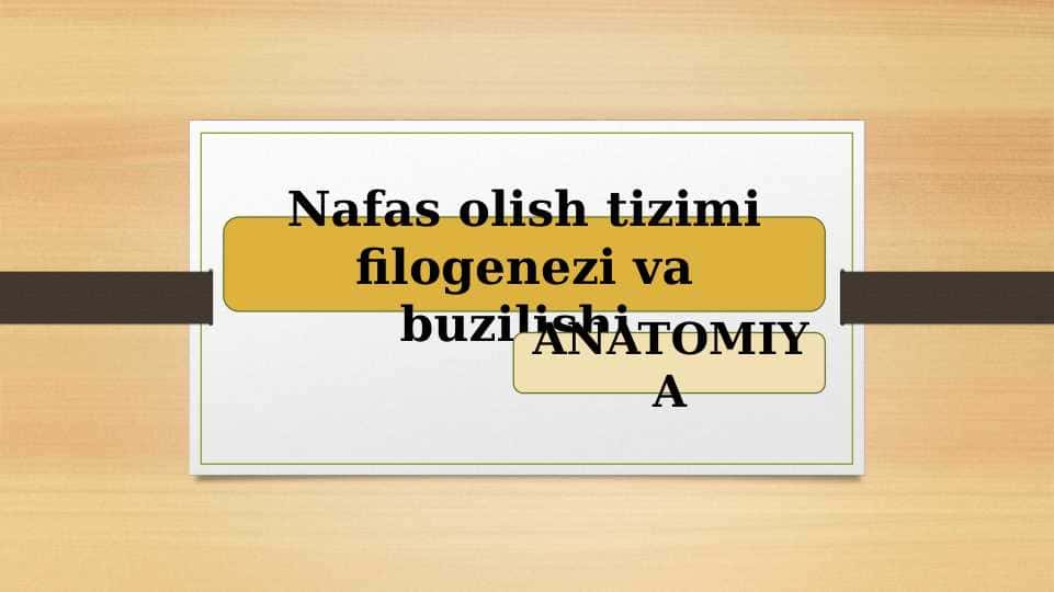 Nafas olish tizimi filogenezi va buzilishi.
