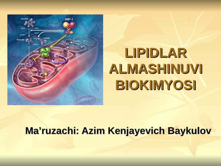Lipid metabolizmi . Lipidlar almashinuvi biokimyosi
