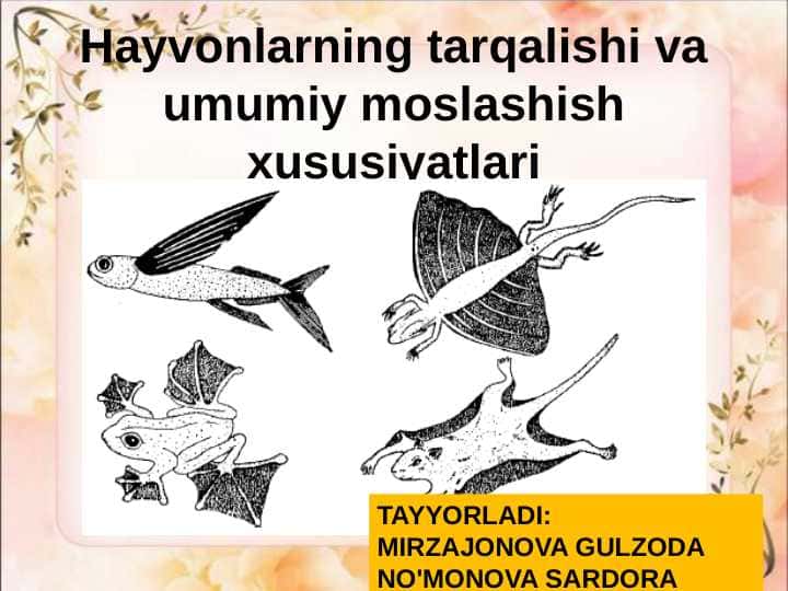 Hayvonlarning tarqalishi va umumiy moslashish xususiyatlari