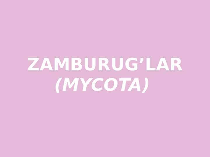 Zamburug'