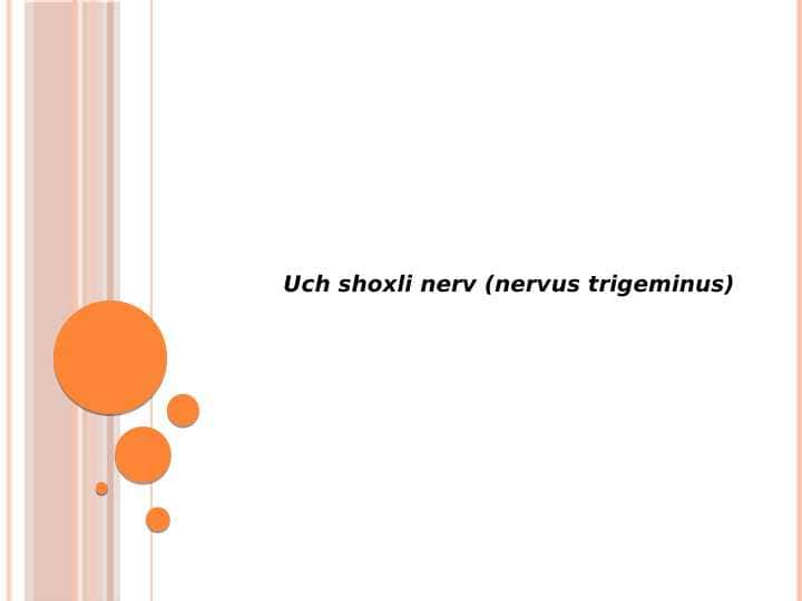 Uch shoxli nerv (nervus trigeminus)