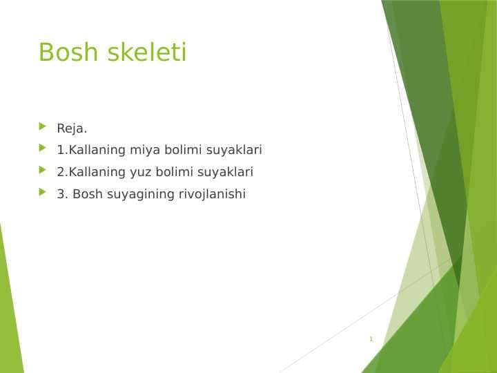 Bosh skeleti
