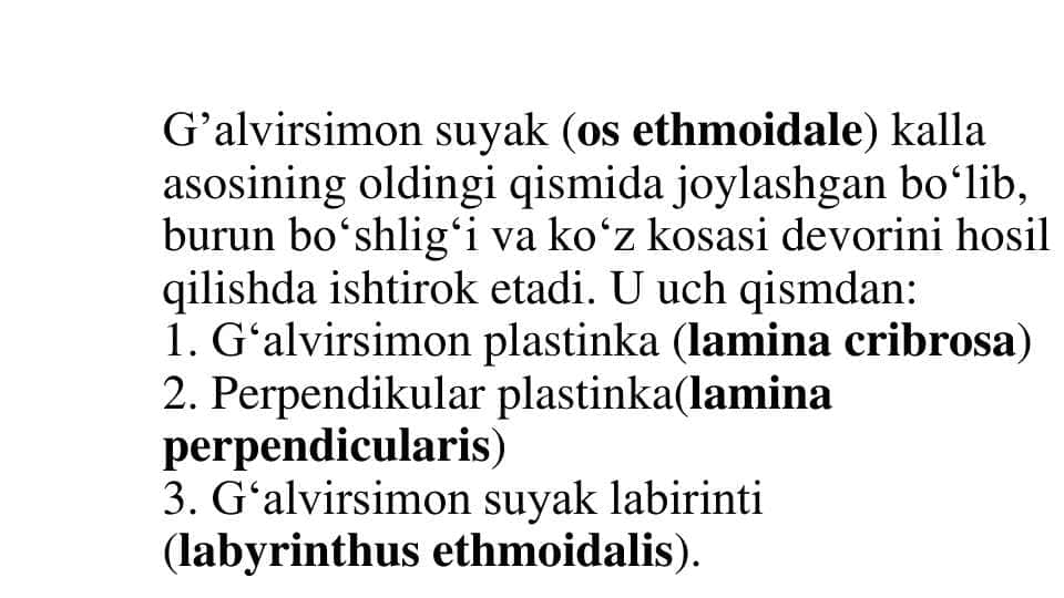 G’alvirsimon suyak