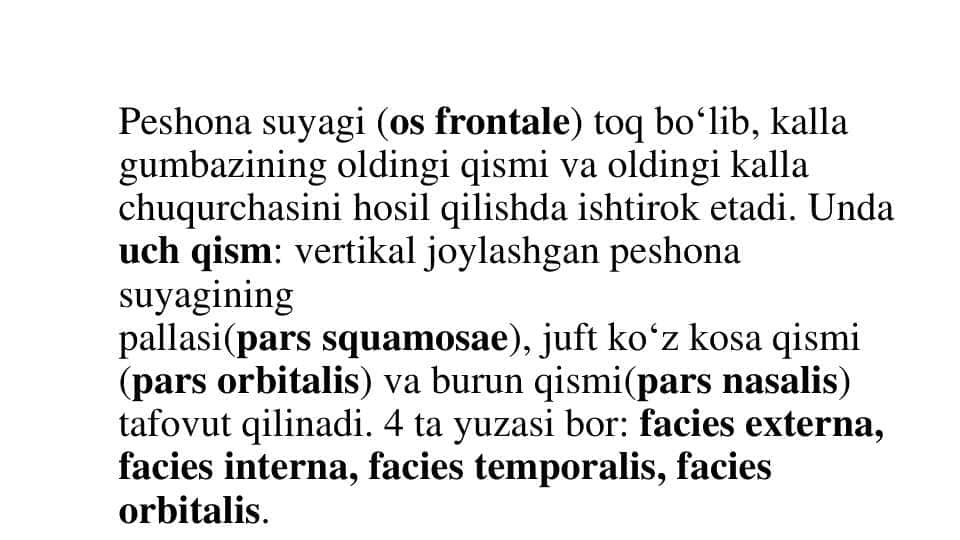 Peshona suyagi (os frontale)