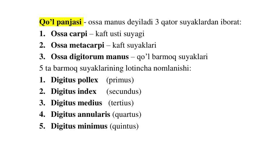 Qo’l panjasi