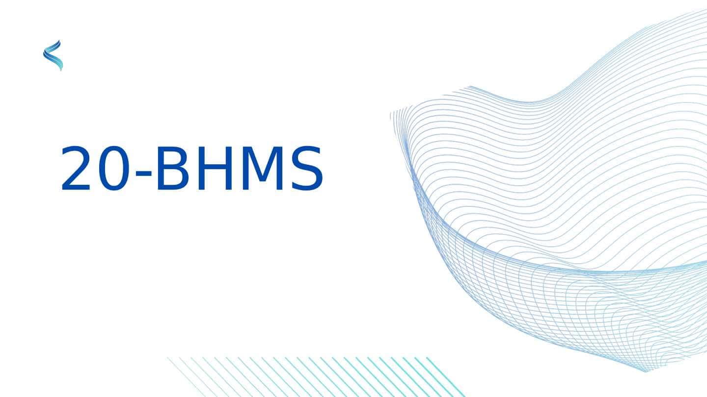 20-BHMS