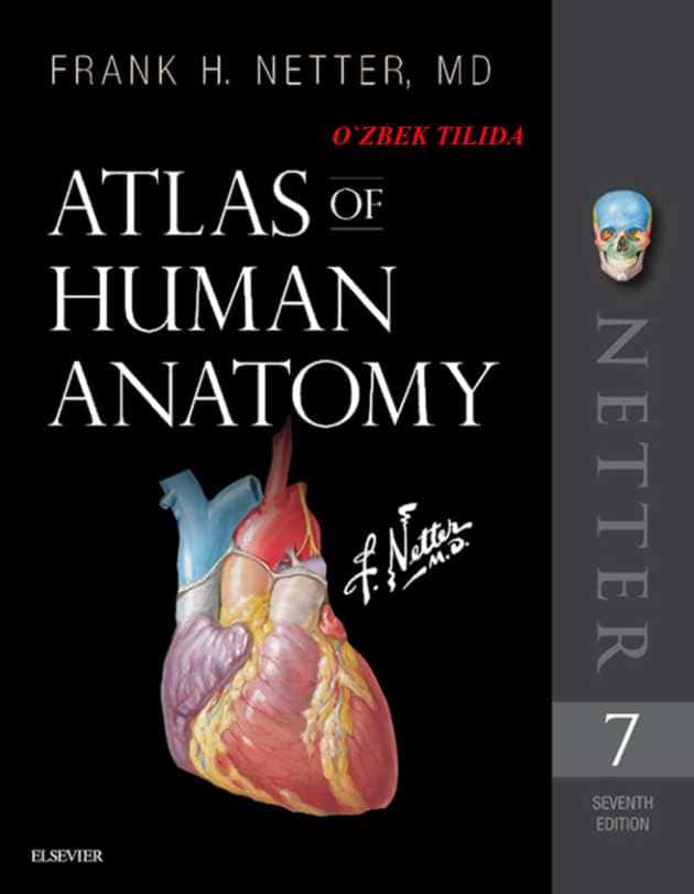 Atlas Odam Anatomiyasi