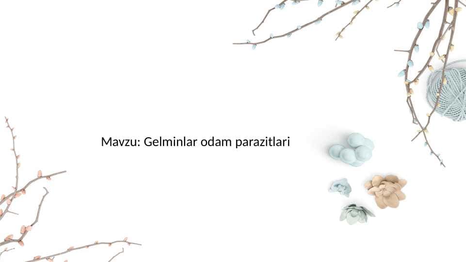 Gelminlar odam parazitlari