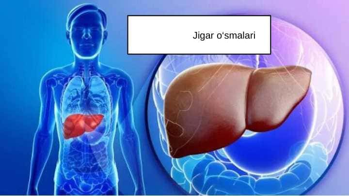 jigar o'samlari