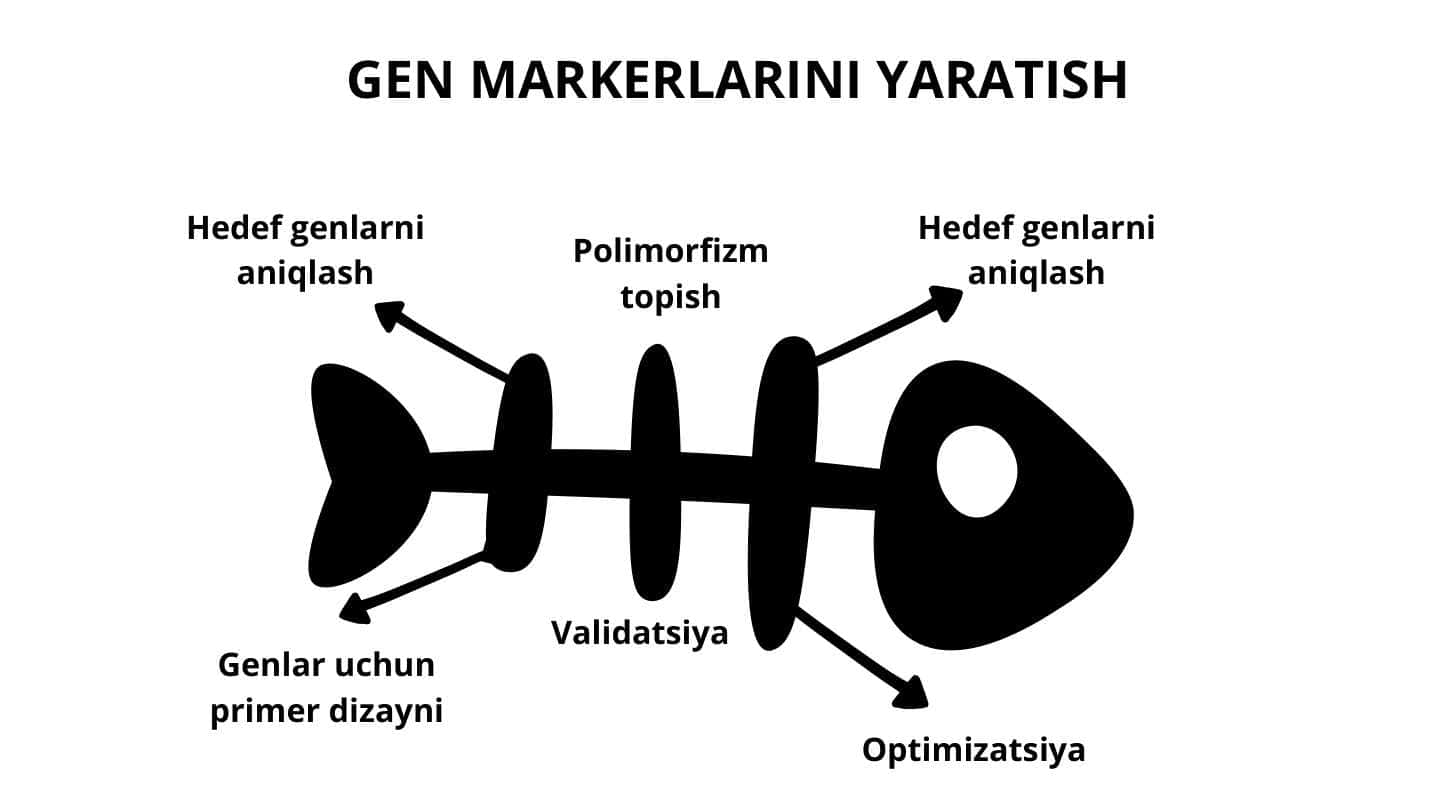 Gen markerlarini yaratish. (baliq skleti)