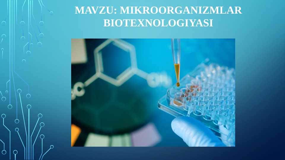 Mikroorganizmlar biotexnologiyasi