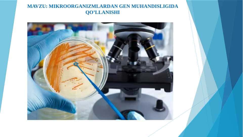 Mikroorganizmlardan gen muhandisligida qo’llanishi