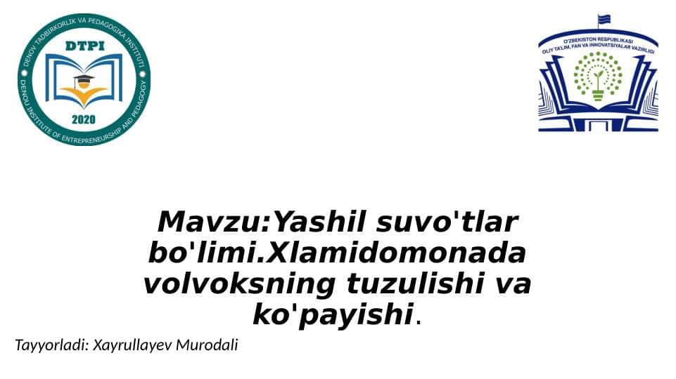 Yashil suvo'tlar bo'limi.Xlamidomonada volvoksning tuzulishi va ko'payishi