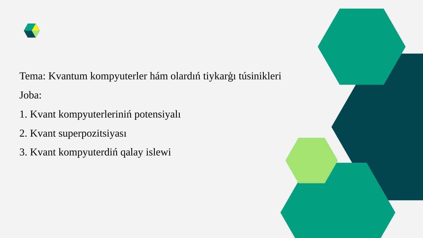 Kvantum kompyuterler hám olardıń tiykarģı túsinikleri