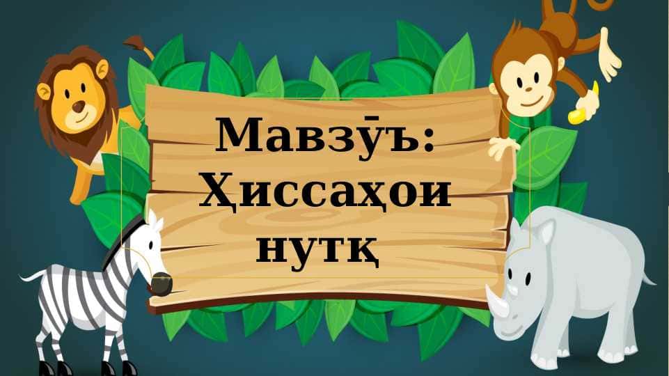 ҲИССАҲОИ НУТҚ