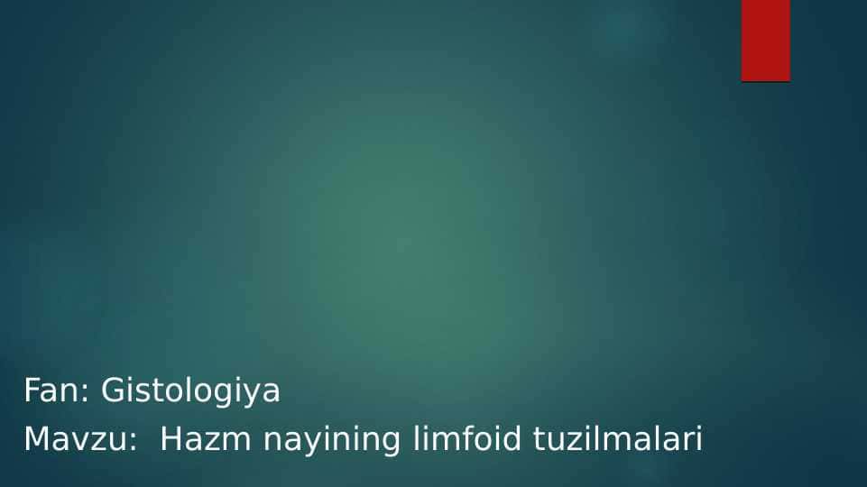 Hazm nayining limfoid tuzilmalari