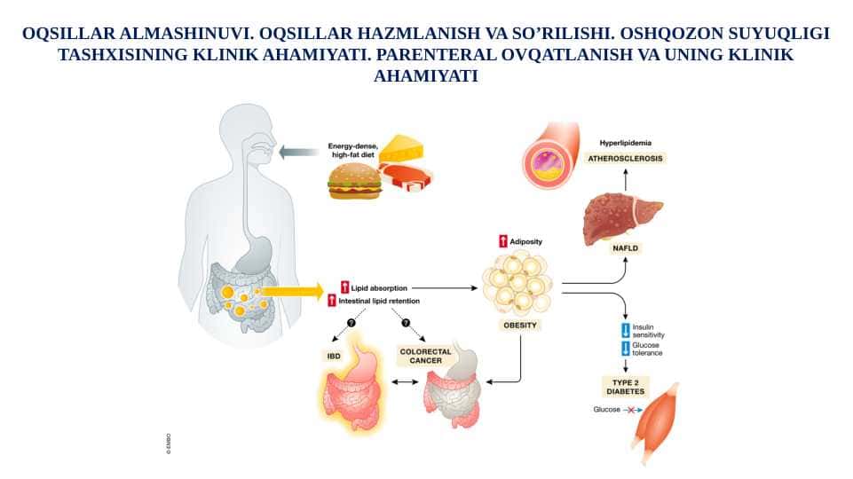 Oqsillar almashinuvi. Oqsillar hazmlanish va so’rilishi. Oshqozon suyuqligi tashxisining klinik ahamiyati. Parenteral ovqatlanish va uning klinik ahamiyati