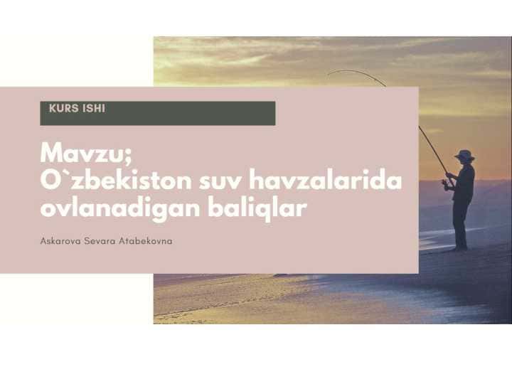 O'zbekiston suv havzalarida ovlanadigan baliqlar