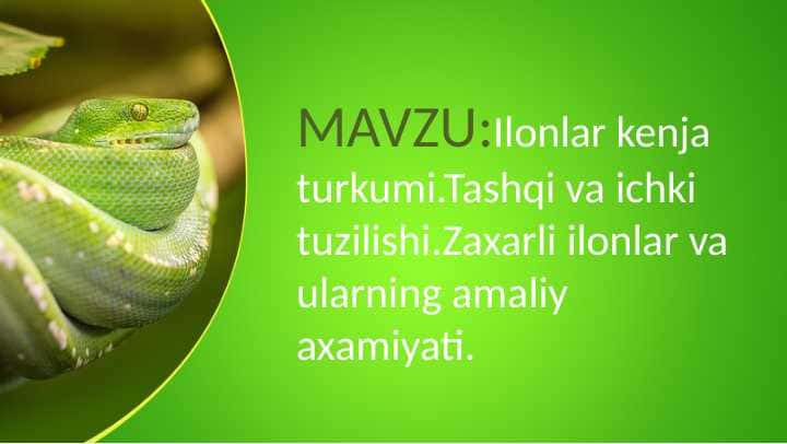 Ilonlar kenja turkumi.Tashqi va ichki tuzilishi.Zaxarli ilonlar va ularning amaliy axamiyati