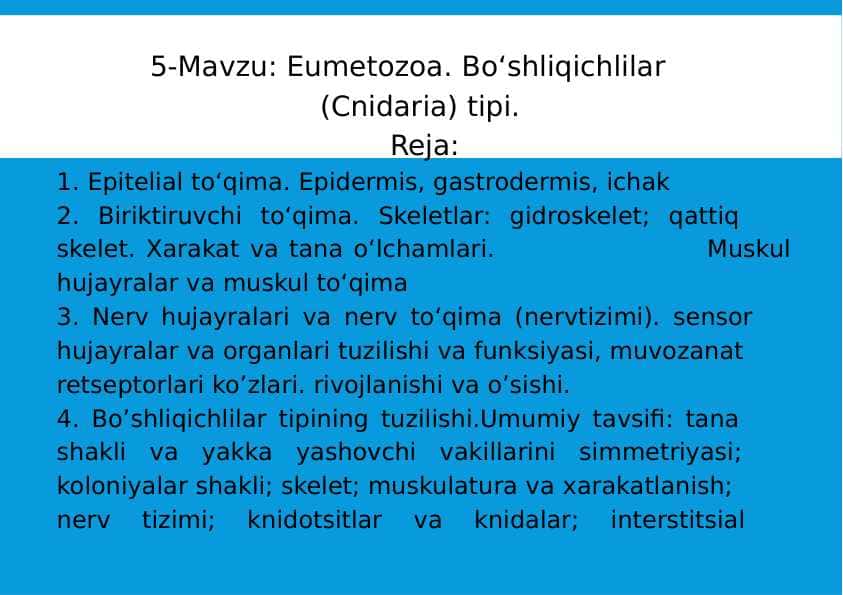 5-Mavzu: Eumetozoa. Bo‘shliqichlilar (Cnidaria) tipi.