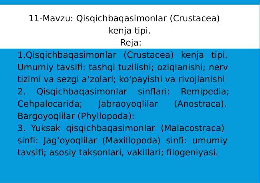 11-Mavzu: Qisqichbaqasimonlar (Crustacea) kenja tipi.