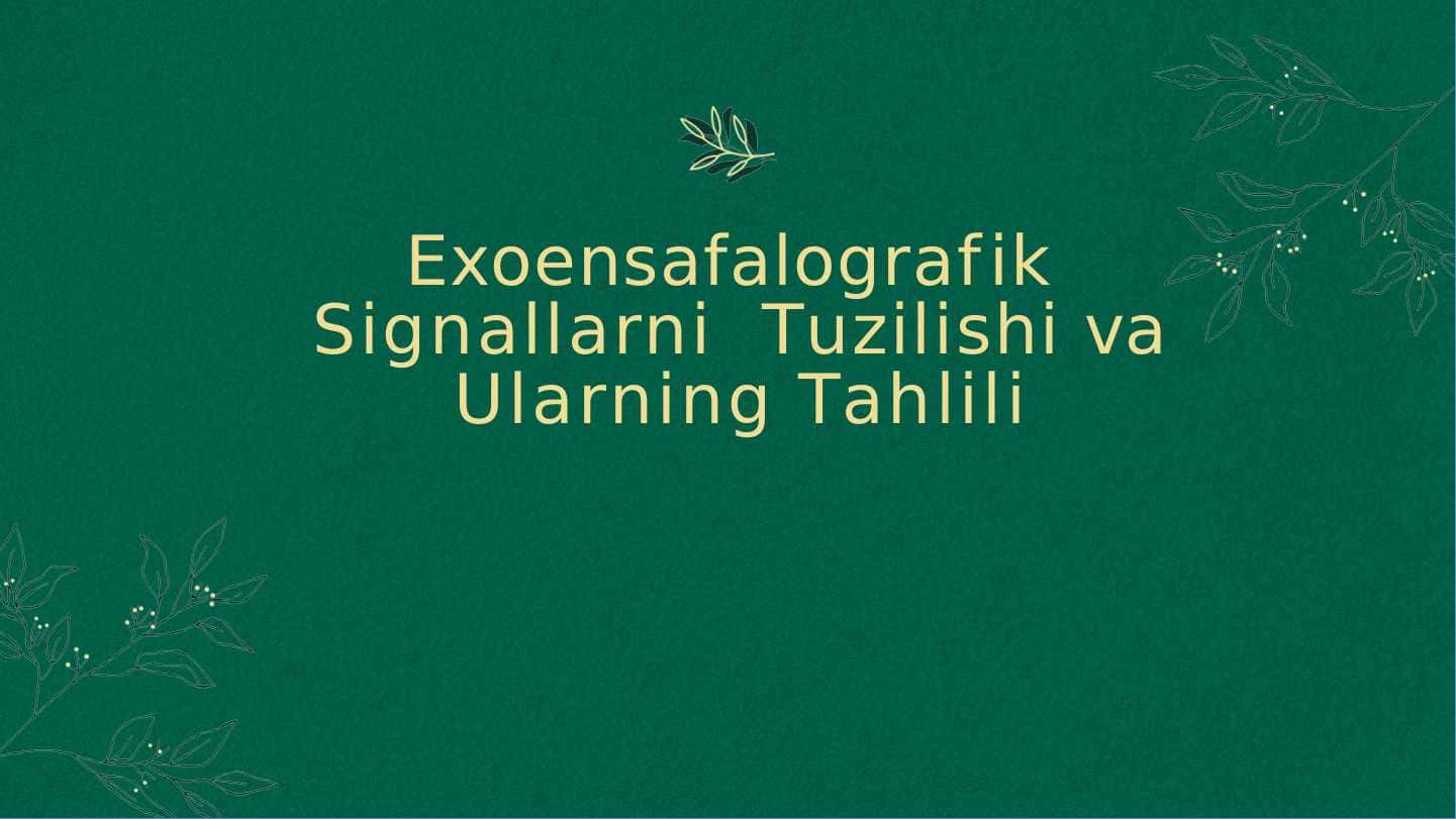 Exoensafalografik Signallarni Tuzilishi va Ularning Tahlili