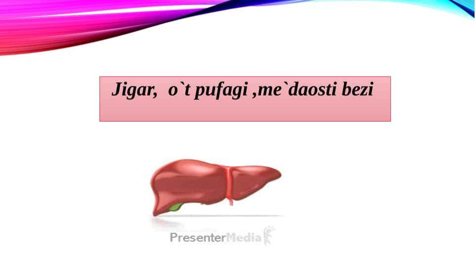 Jigar, o`t pufagi ,me`daosti bezi