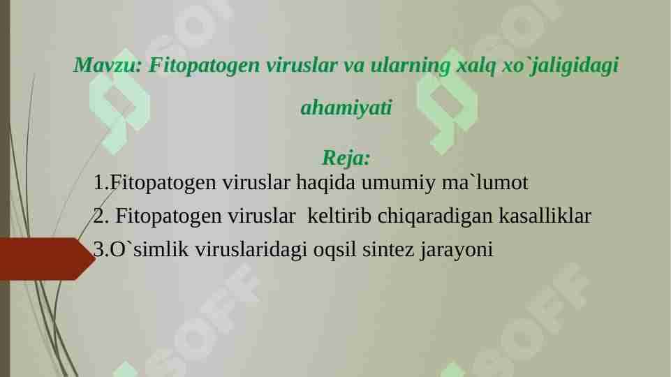 fitopatogen