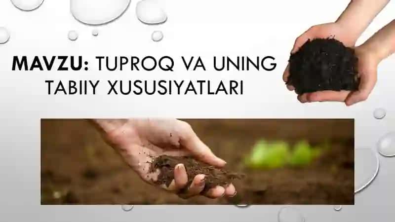 Tuproq va uning tabiiy xususiyatlari