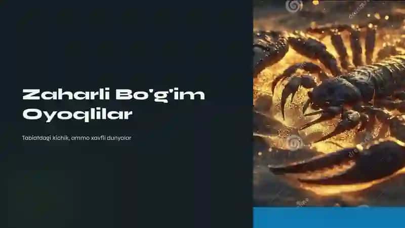 Zaxarli boʼgʼim oyoqlilar