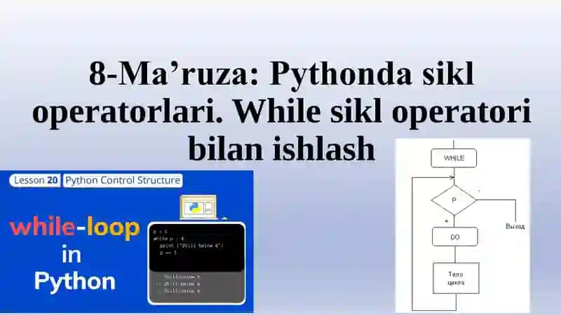 Shartli sikl operatori (Conditional loop operator)